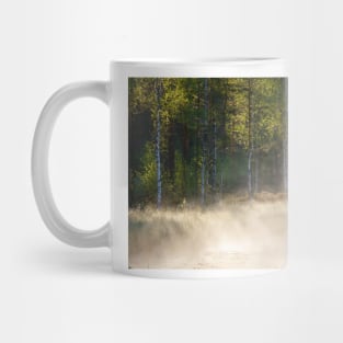 Small forest pond at sunrise Mug